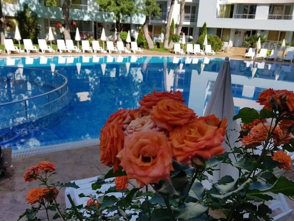 Yassen Holiday Village Pantai Sunny Bagian luar foto